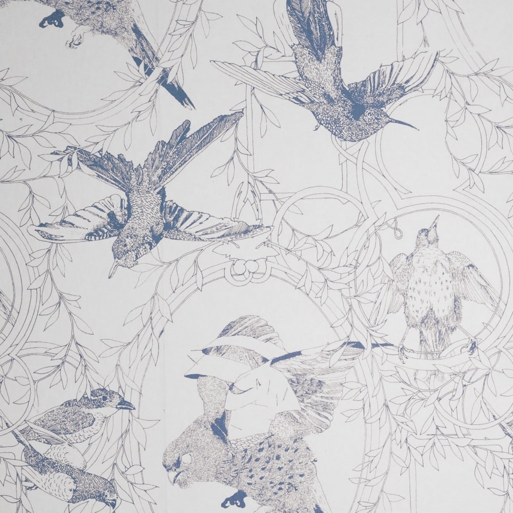 SAMPLE - Taxidermy Birds Hand Printed Wallpaper - Cobalt - Curious Egg